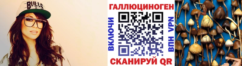 Псилоцибиновые грибы GOLDEN TEACHER  Жуков 